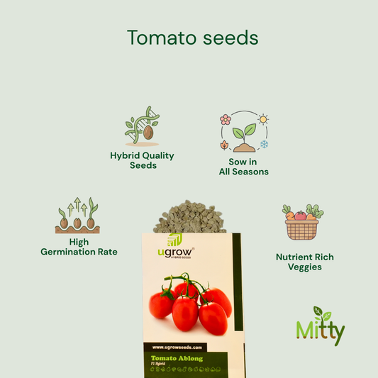 Tomato Seeds