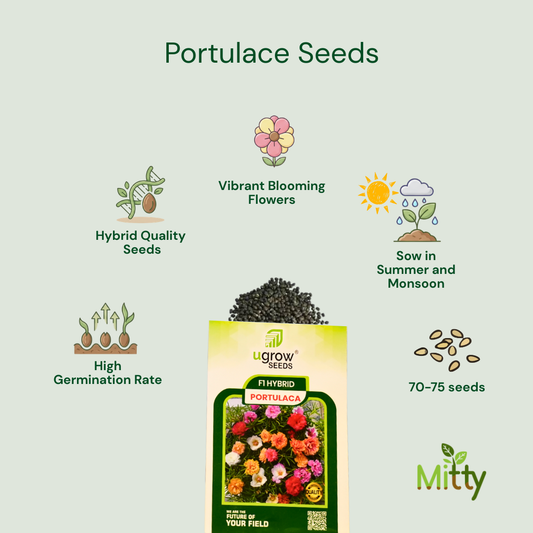 Portulaca Seeds