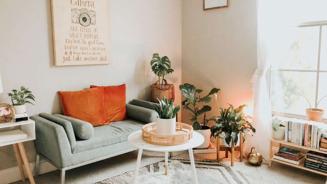 Choosing the Right Plant for Your Space