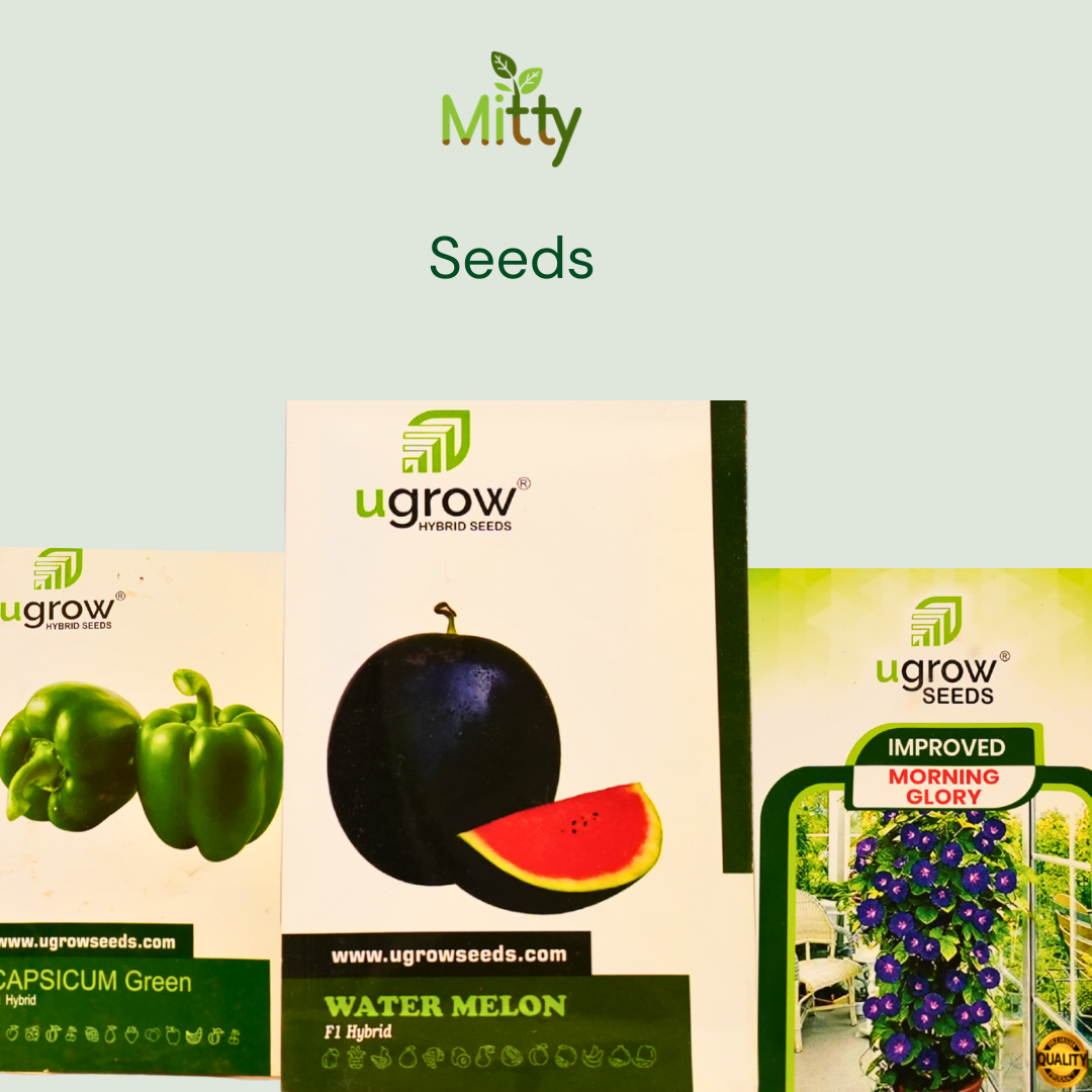 Seeds