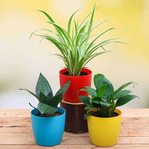 Air Purifier