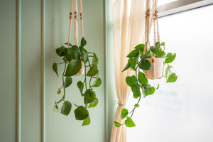 Hanging