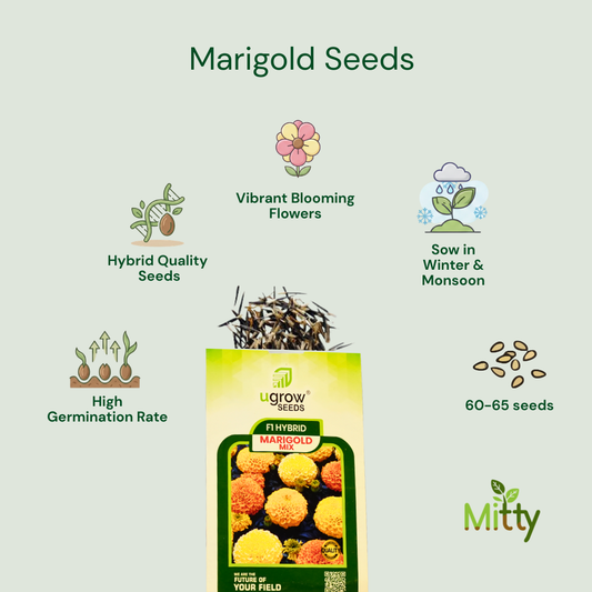 Marigold Seeds