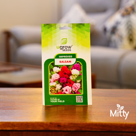 Balsam (Gulmehendi) Seeds