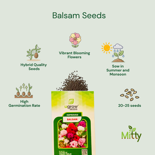 Balsam (Gulmehendi) Seeds