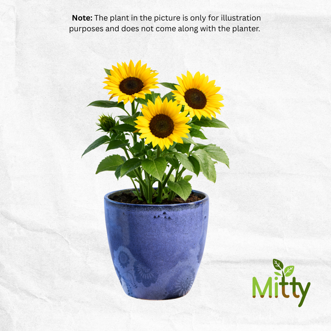 Indigo Mist Planter - 8 inch