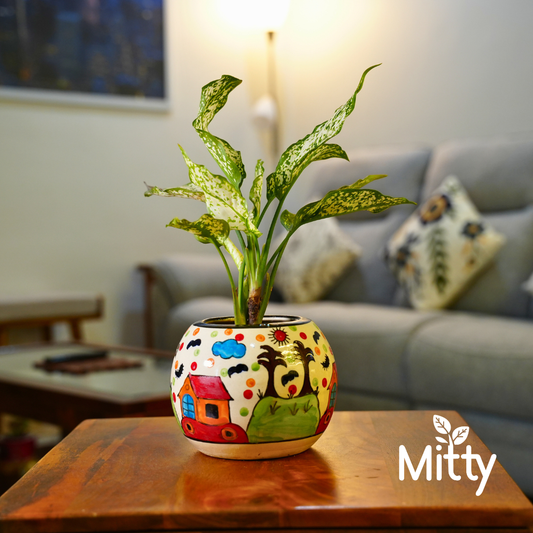 Aglanoma Snow white in Scenic Serenity Planter