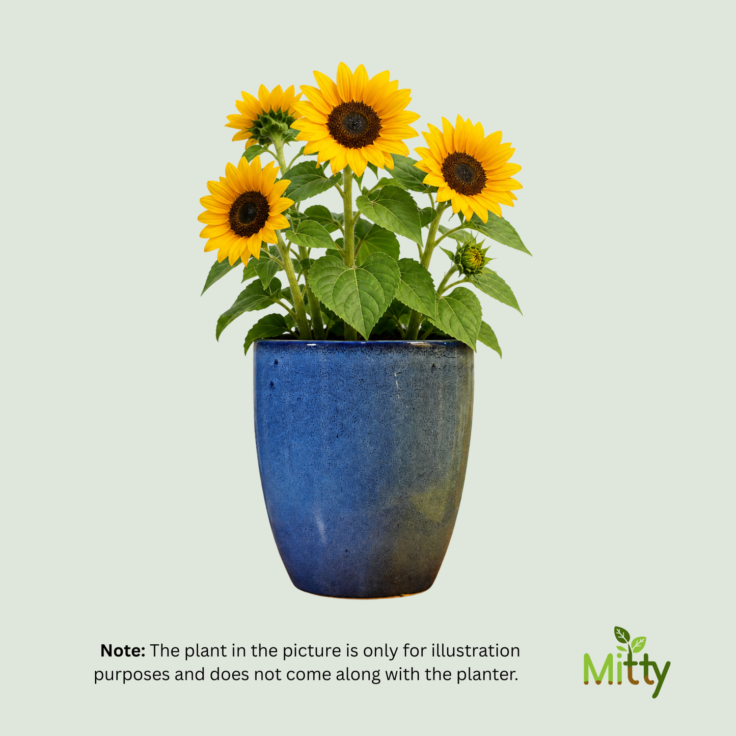 Indigo Mist Planter - 8 inch