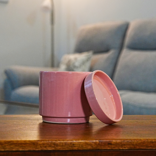 Desk planter with plate