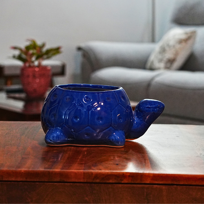 Shelly the Tortoise Planter