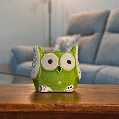 Wise Owl Planter