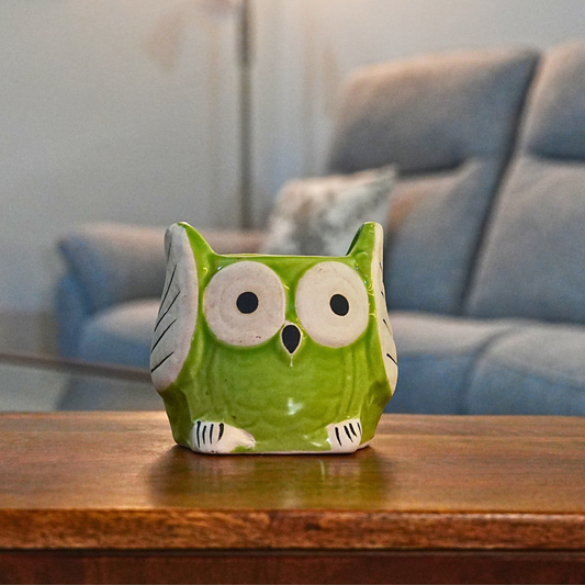 Wise Owl Planter