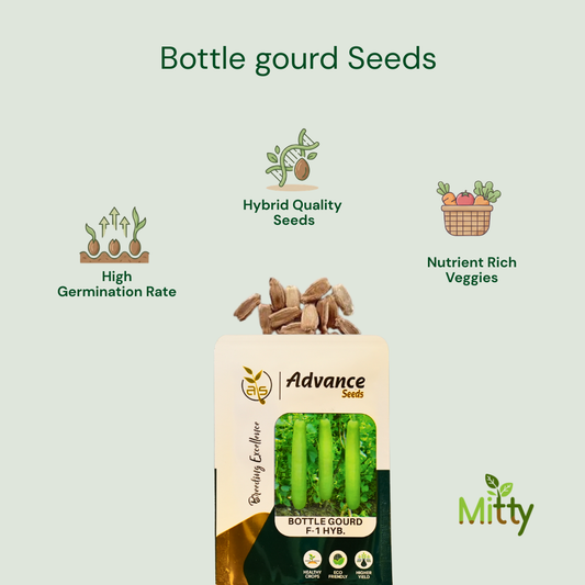 Bottle Gourd Seeds