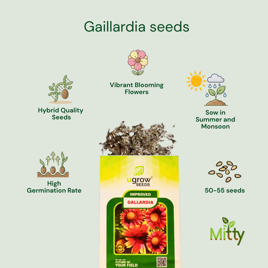 Gaillardia Seeds
