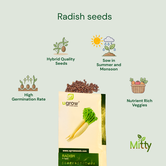 Radish Seeds