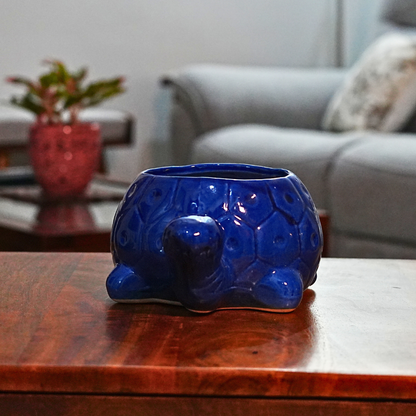 Shelly the Tortoise Planter