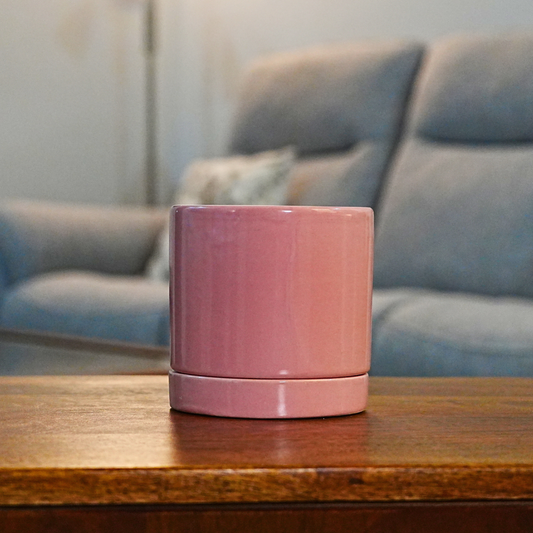 Desk planter with plate