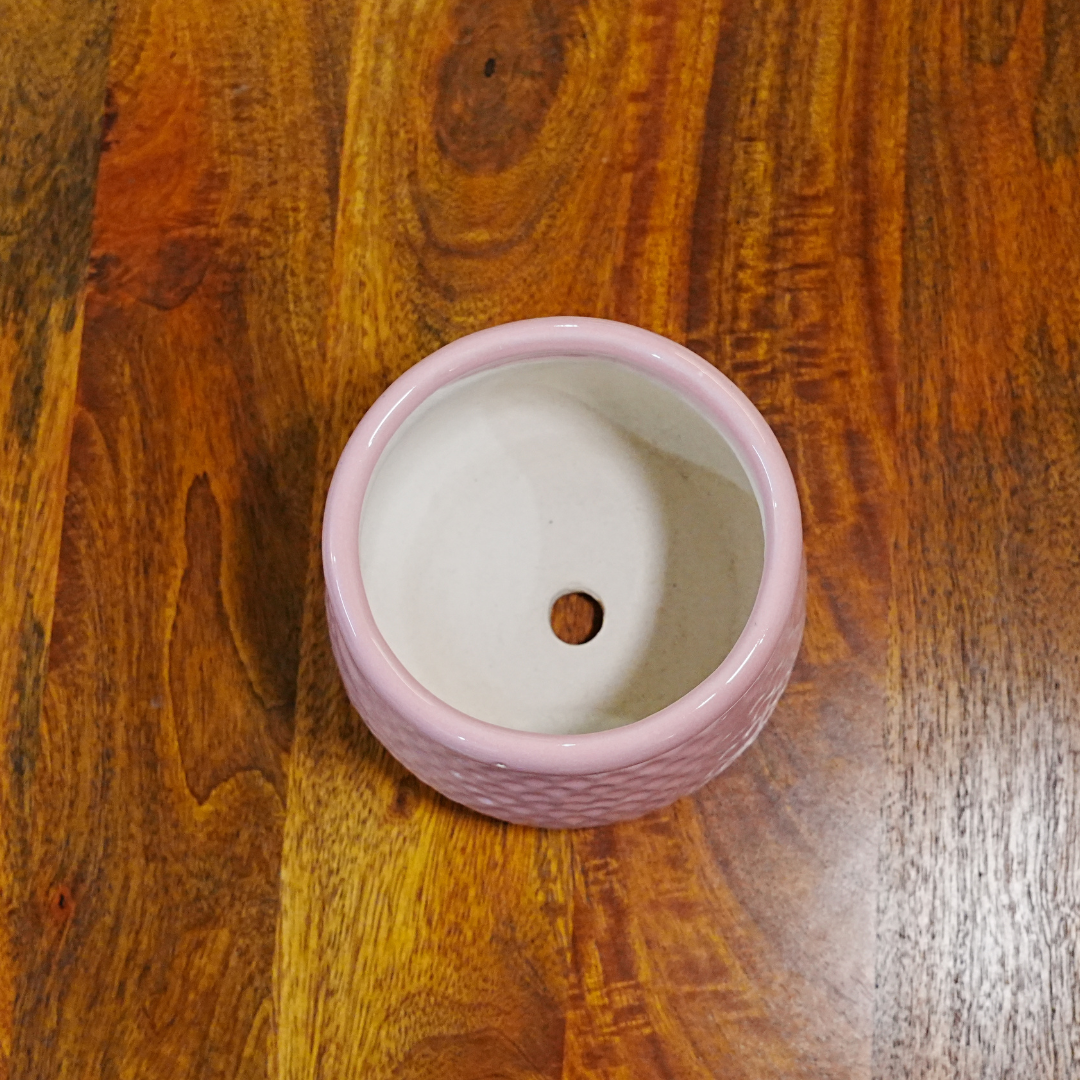 Curvy Groovy Planter