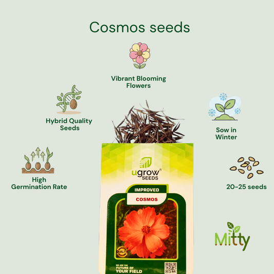Cosmos Seeds