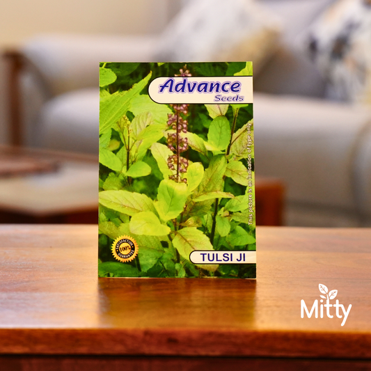 Tulsi (Holy Basil) Seeds