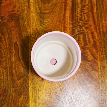 Desk planter with plate