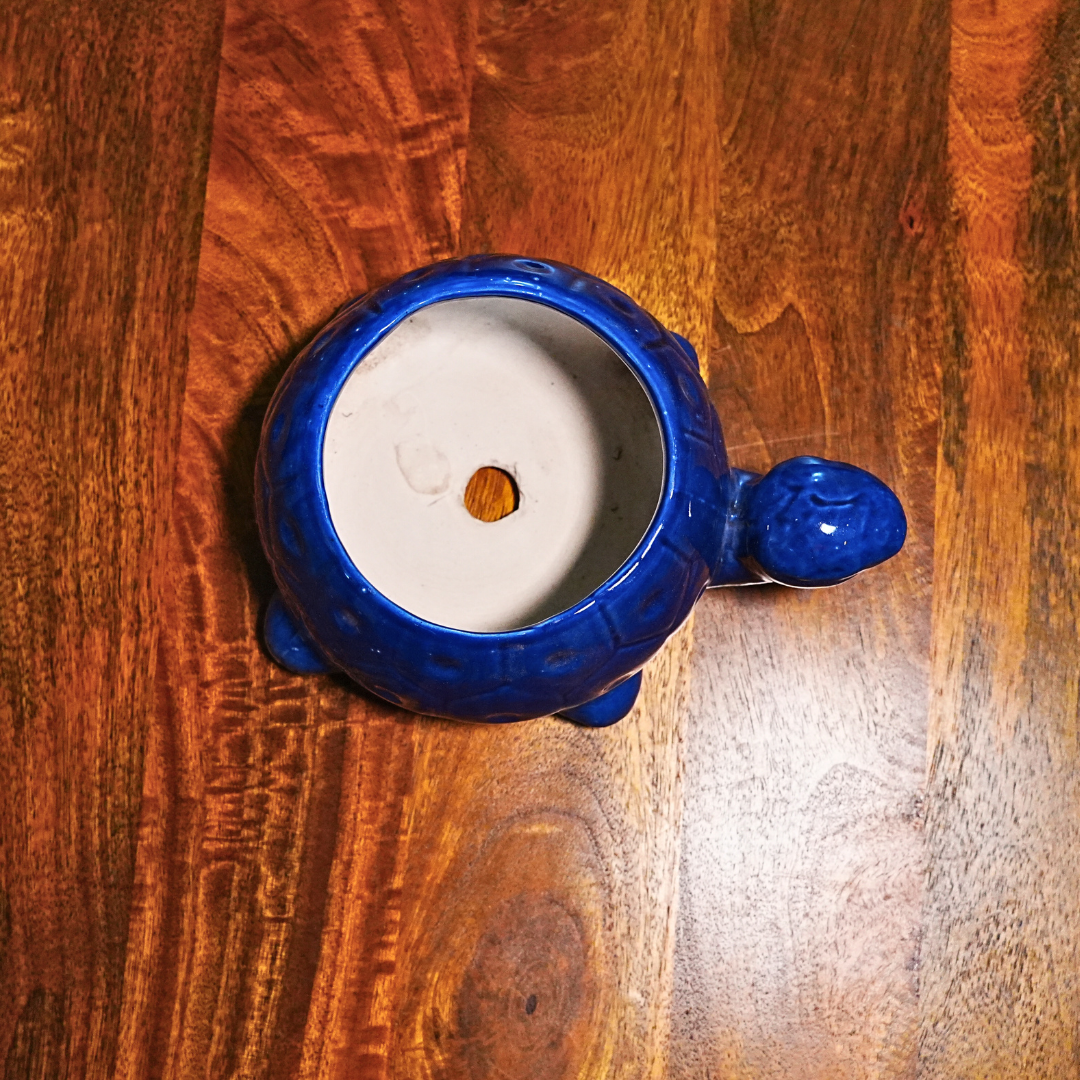 Shelly the Tortoise Planter