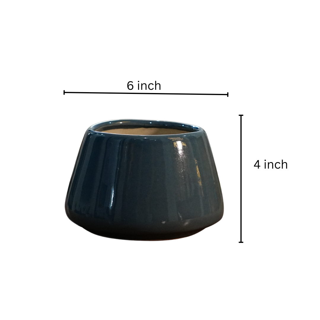 Aqua Calm Desk Planter