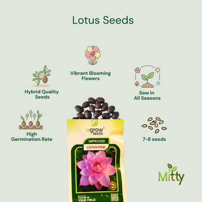 Lotus Seeds