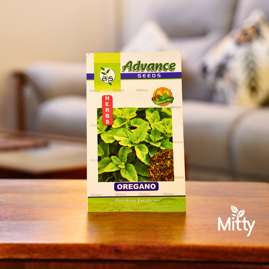 Oregano Seeds