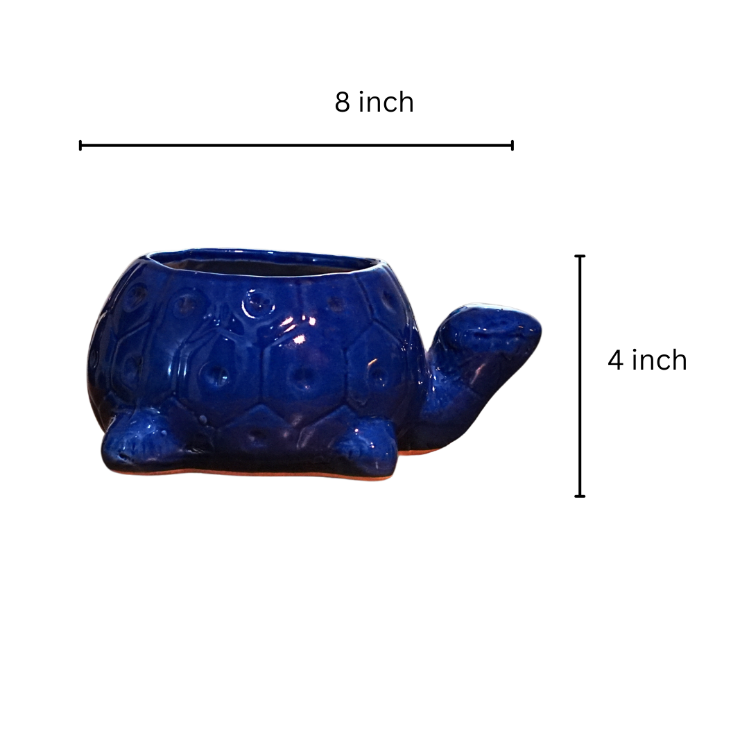 Shelly the Tortoise Planter