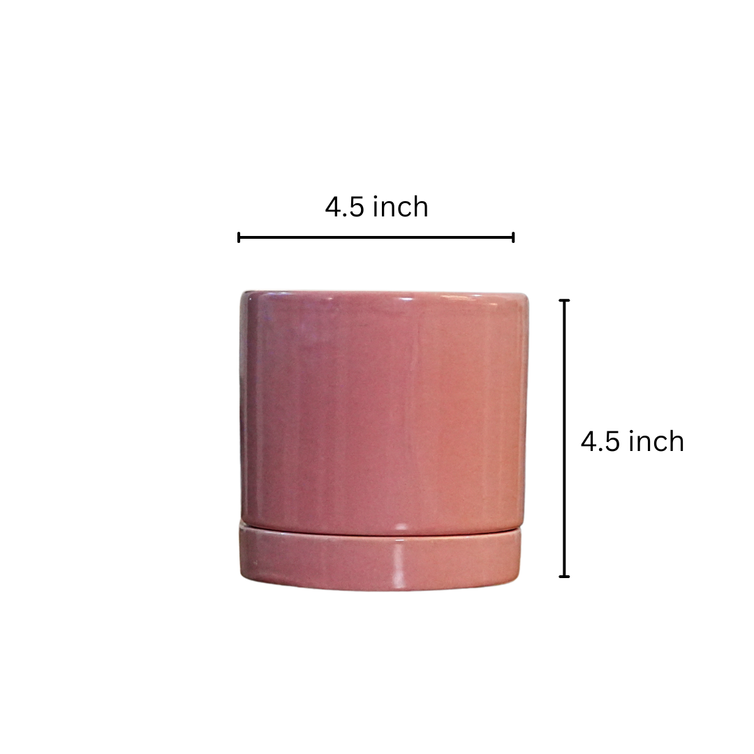 Desk planter with plate