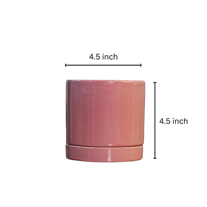 Desk planter with plate