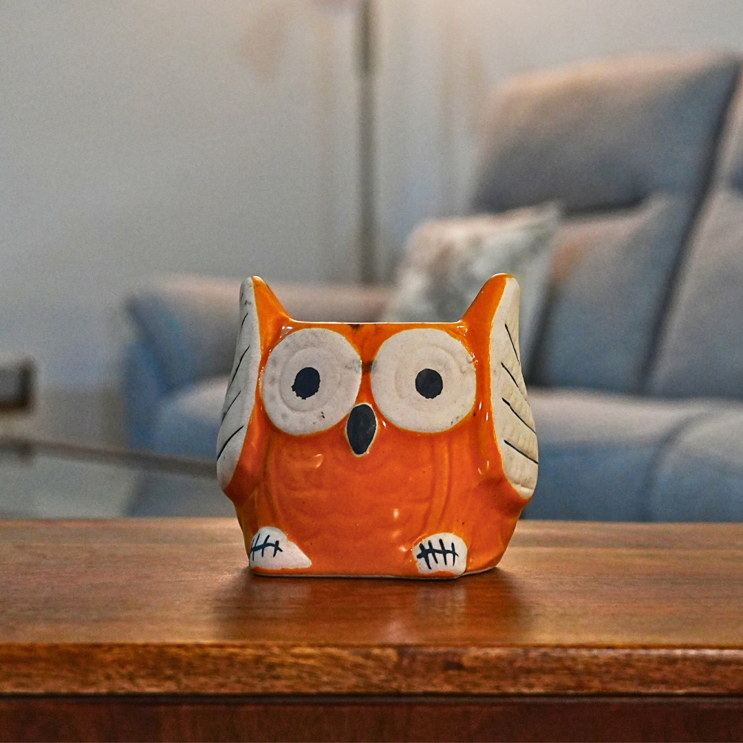 Wise Owl Planter