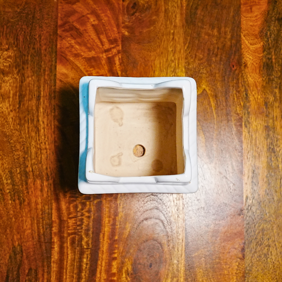 Sacred Harmony Tulsi Planter