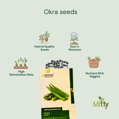 Okra (Bhindi) Seeds