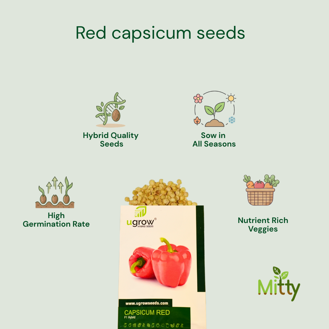 Red Capsicum Seeds