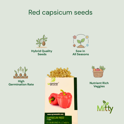 Red Capsicum Seeds