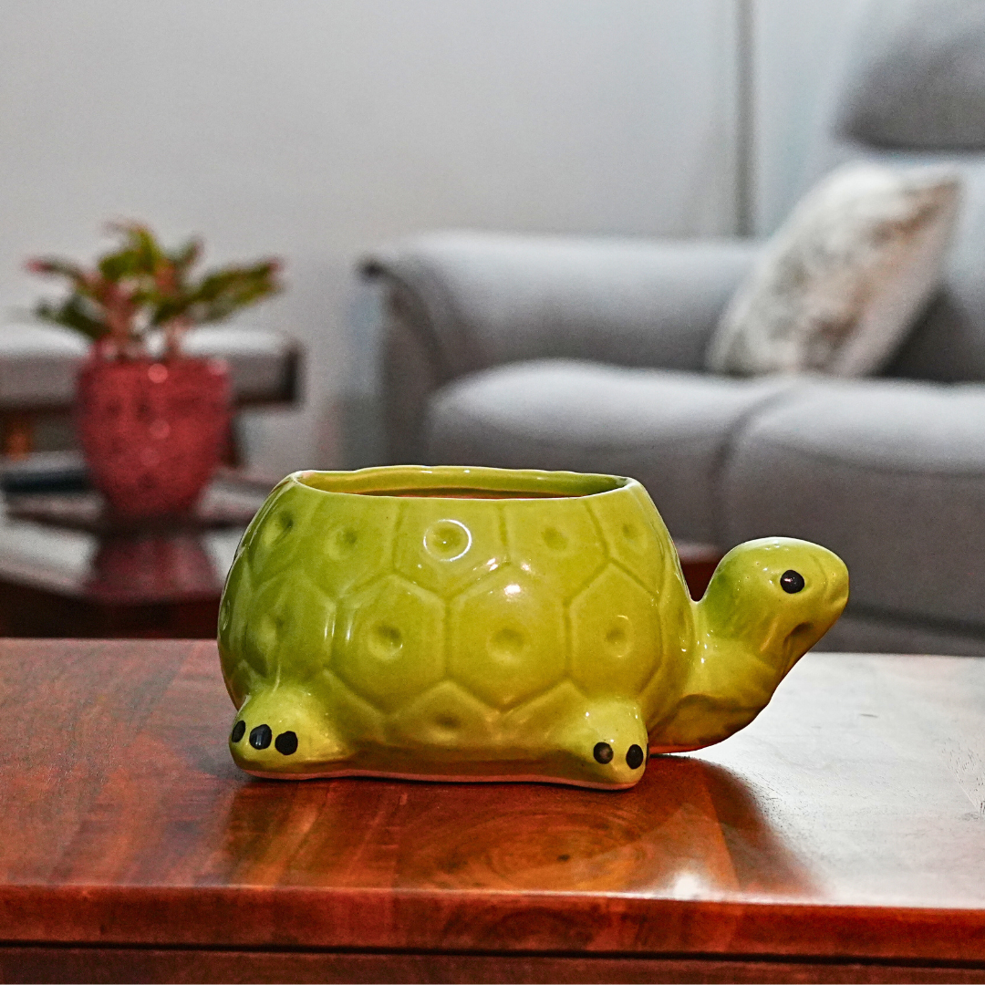 Shelly the Tortoise Planter