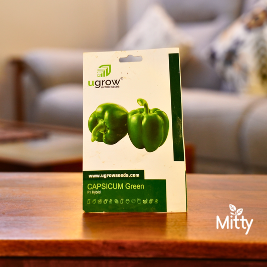 Green Capsicum Seeds