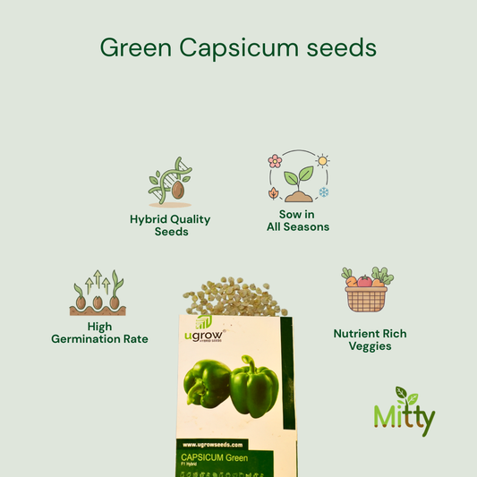 Green Capsicum Seeds