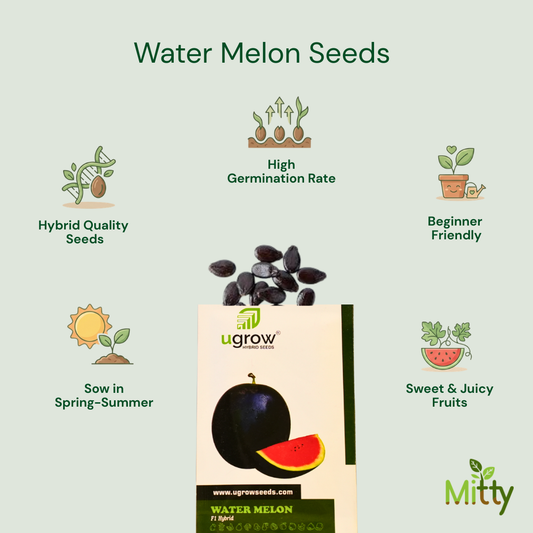 Watermelon Seeds
