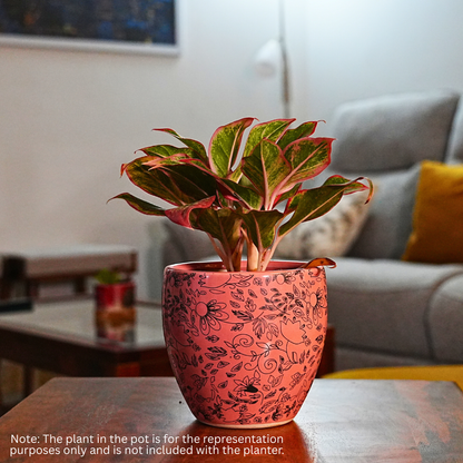 Leafy Tales Planter