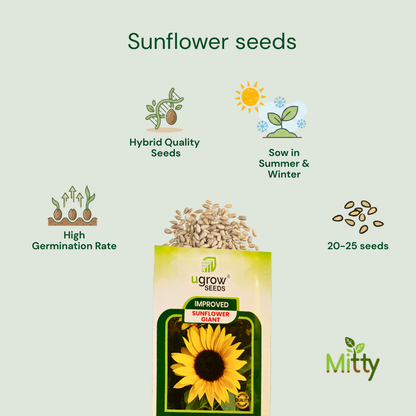 Sunflower Seeds
