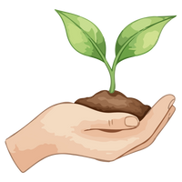 Organically Grown Plants