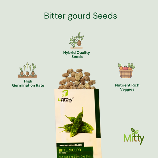 Bitter Gourd Seeds