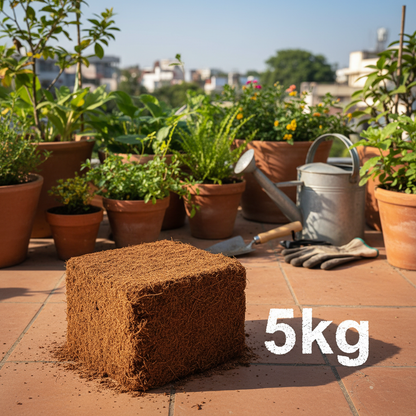add "5kg" next to the block
